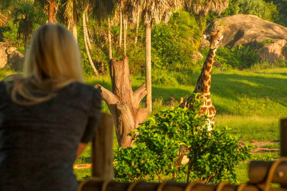 Wild Africa Trek, no Animal Kingdom