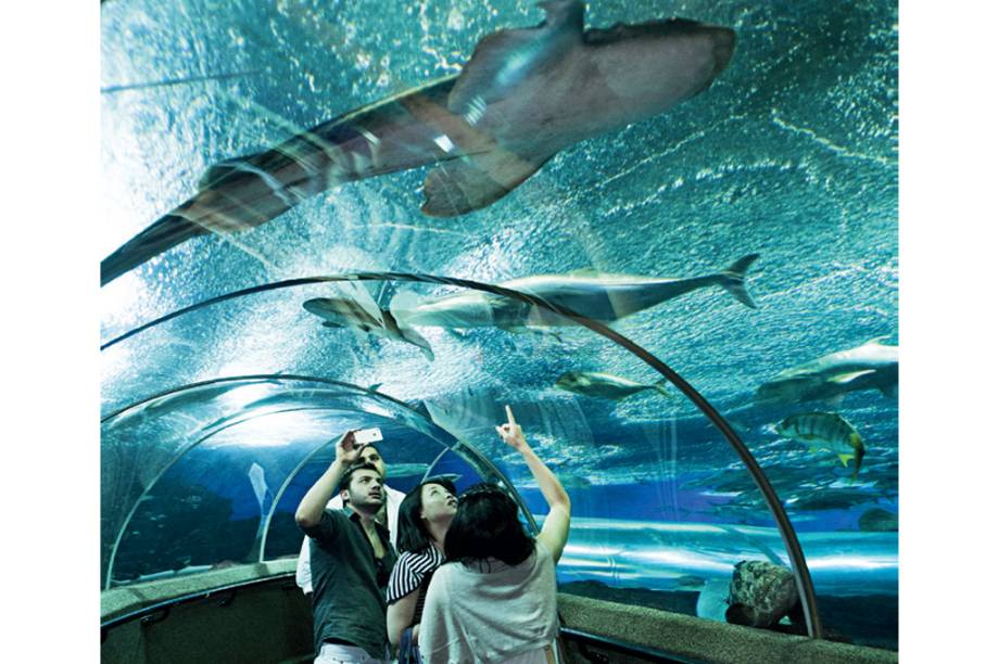 Aquário do Marine Life Park Aquário do Marine Life Park