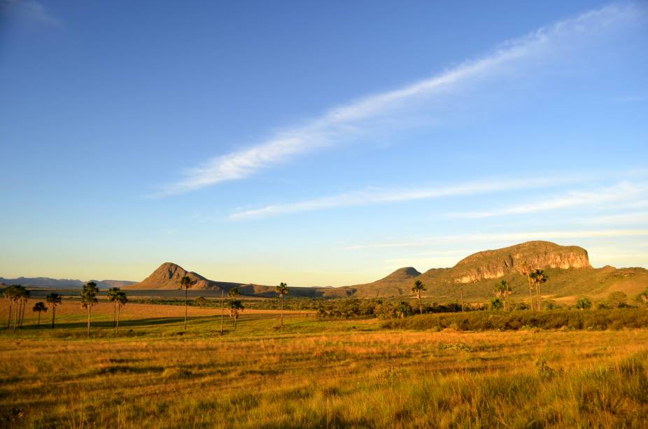 <strong>5. Complexo de áreas protegidas do Cerrado: parques nacionais da <a href="https://viajeaqui.abril.com.br/cidades/br-go-chapada-dos-veadeiros" rel="Chapado dos Veadeiros" target="_blank">Chapada dos Veadeiros</a> e das <a href="https://viajeaqui.abril.com.br/estabelecimentos/br-go-chapadao-do-ceu-atracao-parque-nacional-das-emas" rel="Emas" target="_blank">Emas</a>, <a href="https://viajeaqui.abril.com.br/estados/br-goias" rel="Goiás" target="_blank">Goiás</a></strong>As duas regiões tombadas pela Unesco em 2001 contemplam esses dois parques nacionais, cujas riquezas incluem a mais rica e antiga variedade de ecossistemas tropicais, que inclui até 400 espécies de plantas por hectare. Por aqui, diversas espécies de mamíferos, específicas do Cerrado brasileiro, podem ser encontradas, como o tamanduá-bandeira, o tatu canastra, o lobo-guará e o veado campeiro. A Chapada dos Veadeiros inclui uma quantidade imensa de paredões de pedra, vegetações, rios e cachoeiras. O Parque Nacional das Emas, por outro lado, possui espécies raras de animais em risco de extinção, entre aves e mamíferos como a codorna-mineira e a onça-parda <strong>5. Complexo de áreas protegidas do Cerrado: parques nacionais da <a href="https://viajeaqui.abril.com.br/cidades/br-go-chapada-dos-veadeiros" rel="Chapado dos Veadeiros" target="_blank">Chapada dos Veadeiros</a> e das <a href="https://viajeaqui.abril.com.br/estabelecimentos/br-go-chapadao-do-ceu-atracao-parque-nacional-das-emas" rel="Emas" target="_blank">Emas</a>, <a href="https://viajeaqui.abril.com.br/estados/br-goias" rel="Goiás" target="_blank">Goiás</a></strong>As duas regiões tombadas pela Unesco em 2001 contemplam esses dois parques nacionais, cujas riquezas incluem a mais rica e antiga variedade de ecossistemas tropicais, que inclui até 400 espécies de plantas por hectare. Por aqui, diversas espécies de mamíferos, específicas do Cerrado brasileiro, podem ser encontradas, como o tamanduá-bandeira, o tatu canastra, o lobo-guará e o veado campeiro. A Chapada dos Veadeiros inclui uma quantidade imensa de paredões de pedra, vegetações, rios e cachoeiras. O Parque Nacional das Emas, por outro lado, possui espécies raras de animais em risco de extinção, entre aves e mamíferos como a codorna-mineira e a onça-parda