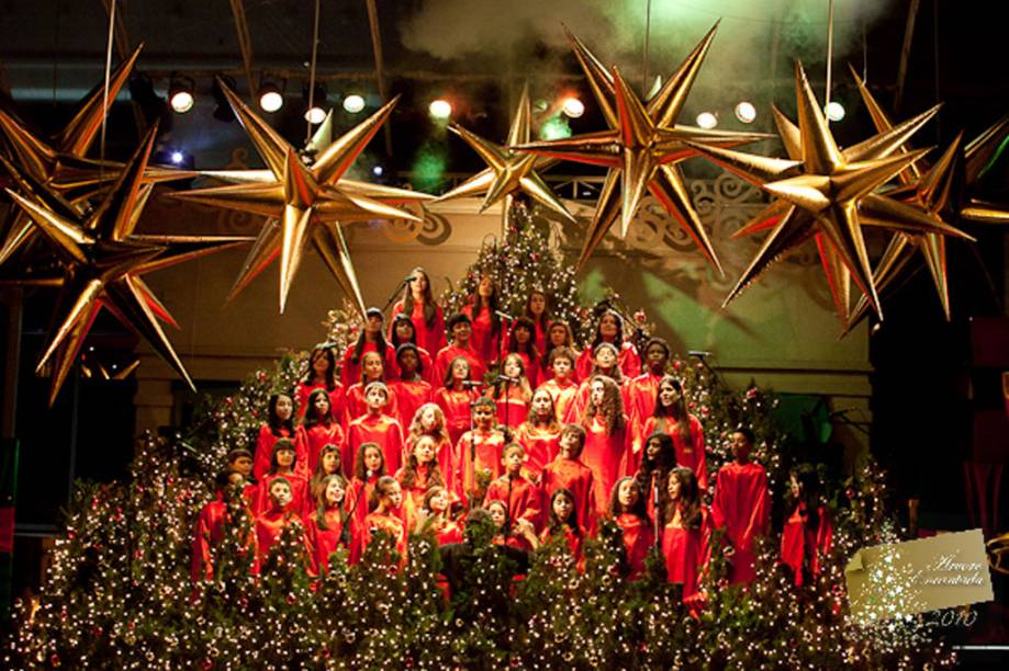 Árvore Encantada do Hotel Radisson Árvore Encantada do Hotel Radisson