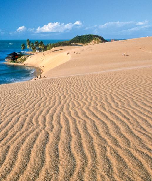 As dunas de Genipabu em momento bugue (e dromed&aacute;rio) free
