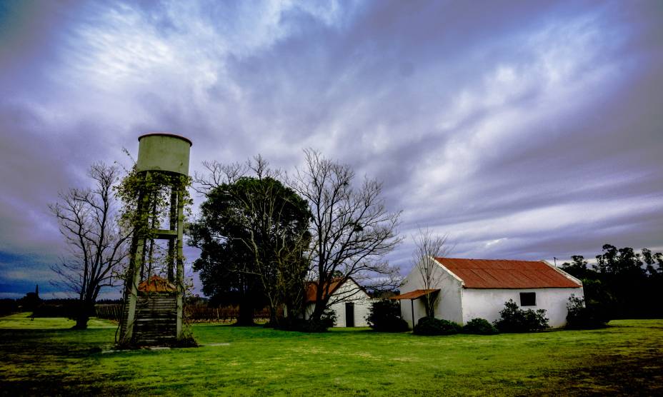 <strong><a href="https://www.bodegabouza.com/" target="_blank">Vinícola Bodega Bouza</a>, <a href="https://viajeaqui.abril.com.br/cidades/uruguai-montevideu" target="_self">Montevidéu</a>, <a href="https://viajeaqui.abril.com.br/paises/uruguai" target="_self">Uruguai</a></strong>