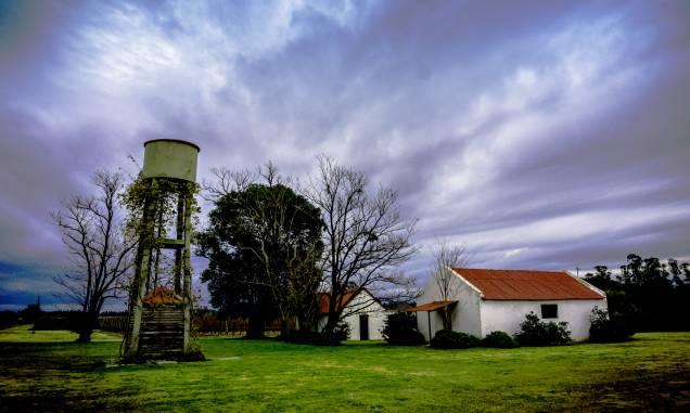 <strong><a href="https://www.bodegabouza.com/" target="_blank">Vinícola Bodega Bouza</a>, <a href="https://viajeaqui.abril.com.br/cidades/uruguai-montevideu" target="_self">Montevidéu</a>, <a href="https://viajeaqui.abril.com.br/paises/uruguai" target="_self">Uruguai</a></strong> <strong><a href="https://www.bodegabouza.com/" target="_blank">Vinícola Bodega Bouza</a>, <a href="https://viajeaqui.abril.com.br/cidades/uruguai-montevideu" target="_self">Montevidéu</a>, <a href="https://viajeaqui.abril.com.br/paises/uruguai" target="_self">Uruguai</a></strong>