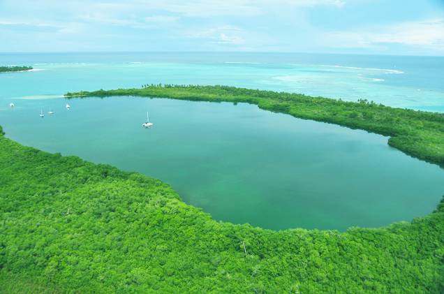 “Buccoo Reef” e “Bon Accord Lagoon” (Recifes Bucco e Lagoa Bon Accord), em Tobago, são conhecidas pelo extenso ecossistema de recifes, corais, algas marinhas e manguezais. Os recifes ocupam uma área de 7 km2. . “Buccoo Reef” e “Bon Accord Lagoon” (Recifes Bucco e Lagoa Bon Accord), em Tobago, são conhecidas pelo extenso ecossistema de recifes, corais, algas marinhas e manguezais. Os recifes ocupam uma área de 7 km2. .