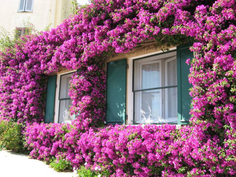 <strong>Bormes-les-Mimosas</strong> Estar perto do Mar Mediterrâneo é uma das maiores vantagens da cidade de Bormes-les-Mimosas, porque esta localização proporciona um clima perfeito para o desenvolvimento de uma larga quantidade e variedade de espécies de flores! <strong>Bormes-les-Mimosas</strong> Estar perto do Mar Mediterrâneo é uma das maiores vantagens da cidade de Bormes-les-Mimosas, porque esta localização proporciona um clima perfeito para o desenvolvimento de uma larga quantidade e variedade de espécies de flores!