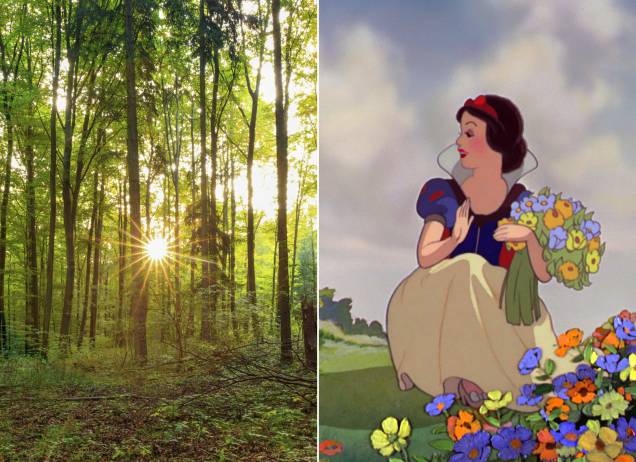 <strong>Floresta Negra, <a href="https://viajeaqui.abril.com.br/paises/alemanha" rel="Alemanha" target="_self">Alemanha</a> (<em>Branca de Neve e os Sete Anões</em>)</strong> Comer uma maçã envenenada, dormir por dias e ser acordada por um príncipe. A fórmula é das mais tradicionais, mas é na relação com a madrasta que Branca de Neve tem a essência de toda a história. Afinal de contas, quem não conhece os dizeres: <em>"Espelho, espelho meu. Quem é mais bela do que eu?" </em>A Floresta Negra alemã, que inspirou os cenários do filme, já foi palco de muitas lendas e histórias, sobretudo dos Irmãos Grimm. Até hoje, paira uma atmosfera mágica por ali que encanta os visitantes <em><a href="https://www.booking.com/region/de/baden-wurttemberg.pt-br.html?aid=332455&label=viagemabril-destinos-inspiradores-dos-estudios-disney" rel="Veja preços de hotéis próximos à Floresta Negra no Booking.com" target="_blank">Veja preços de hotéis próximos à Floresta Negra no Booking.com</a></em> <strong>Floresta Negra, <a href="https://viajeaqui.abril.com.br/paises/alemanha" rel="Alemanha" target="_self">Alemanha</a> (<em>Branca de Neve e os Sete Anões</em>)</strong> Comer uma maçã envenenada, dormir por dias e ser acordada por um príncipe. A fórmula é das mais tradicionais, mas é na relação com a madrasta que Branca de Neve tem a essência de toda a história. Afinal de contas, quem não conhece os dizeres: <em>"Espelho, espelho meu. Quem é mais bela do que eu?" </em>A Floresta Negra alemã, que inspirou os cenários do filme, já foi palco de muitas lendas e histórias, sobretudo dos Irmãos Grimm. Até hoje, paira uma atmosfera mágica por ali que encanta os visitantes <em><a href="https://www.booking.com/region/de/baden-wurttemberg.pt-br.html?aid=332455&label=viagemabril-destinos-inspiradores-dos-estudios-disney" rel="Veja preços de hotéis próximos à Floresta Negra no Booking.com" target="_blank">Veja preços de hotéis próximos à Floresta Negra no Booking.com</a></em>