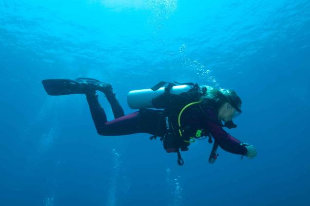 <strong>1. Bunaken, Sulawesi Utara, <a href="https://viajeaqui.abril.com.br/paises/indonesia" rel="Indonésia">Indonésia</a> </strong> Se você busca um refúgio tropical, pode ser uma ótima ideia conhecer esta ilha repleta de corais, onde os turistas contam com receptividade de simpáticos moradores locais e podem desfrutar de atividades como nadar com tartarugas. Com mais de 3 mil espécies de peixes e incríveis barreiras de corais para explorar, o Bunaken National Marine Park é uma opção de programa inesquecível para quem ama vida marinha. E para os que preferem passar também algum tempo em terra firme, dá para aproveitar a visita para conhecer o vulcão Manado. A vista da ilha inteira lá do alto é deslumbrante! <a href="https://www.booking.com/city/id/bunaken.pt-br.html?aid=332455&label=viagemabril-destinosmergulho" rel="Reserve a sua hospedagem em Bunaken através do Booking.com" target="_blank"><em>Reserve a sua hospedagem em Bunaken através do Booking.com</em></a> <strong>1. Bunaken, Sulawesi Utara, <a href="https://viajeaqui.abril.com.br/paises/indonesia" rel="Indonésia">Indonésia</a> </strong> Se você busca um refúgio tropical, pode ser uma ótima ideia conhecer esta ilha repleta de corais, onde os turistas contam com receptividade de simpáticos moradores locais e podem desfrutar de atividades como nadar com tartarugas. Com mais de 3 mil espécies de peixes e incríveis barreiras de corais para explorar, o Bunaken National Marine Park é uma opção de programa inesquecível para quem ama vida marinha. E para os que preferem passar também algum tempo em terra firme, dá para aproveitar a visita para conhecer o vulcão Manado. A vista da ilha inteira lá do alto é deslumbrante! <a href="https://www.booking.com/city/id/bunaken.pt-br.html?aid=332455&label=viagemabril-destinosmergulho" rel="Reserve a sua hospedagem em Bunaken através do Booking.com" target="_blank"><em>Reserve a sua hospedagem em Bunaken através do Booking.com</em></a>