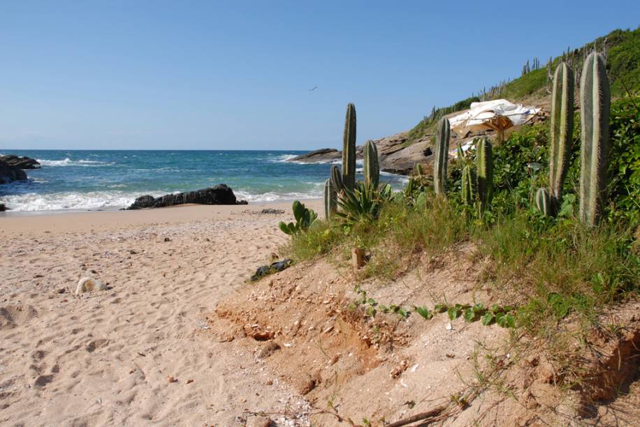 A <a href="https://viajeaqui.abril.com.br/estabelecimentos/br-rj-buzios-atracao-olho-de-boi" rel="Praia Olho-de-Boi" target="_blank">praia Olho-de-Boi</a> é nudista. Pequena, ela tem mar verde e cristalino. Até sem máscara é possível ver os peixes no fundo A <a href="https://viajeaqui.abril.com.br/estabelecimentos/br-rj-buzios-atracao-olho-de-boi" rel="Praia Olho-de-Boi" target="_blank">praia Olho-de-Boi</a> é nudista. Pequena, ela tem mar verde e cristalino. Até sem máscara é possível ver os peixes no fundo