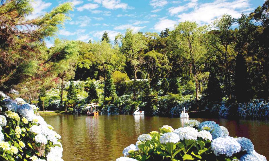 O <a href="https://viajeaqui.abril.com.br/estabelecimentos/br-rs-gramado-atracao-lago-negro" rel="Lago Negro" target="_self">Lago Negro</a> de <a href="https://viajeaqui.abril.com.br/cidades/br-rs-gramado" rel="Gramado" target="_self">Gramado</a> (RS) concentra &aacute;rvores trazidas da Floresta Negra da <a href="https://viajeaqui.abril.com.br/paises/alemanha" rel="Alemanha" target="_self">Alemanha</a>. Aqui, o passeio de pedalinhos &eacute; um dos favoritos dos turistas&nbsp;