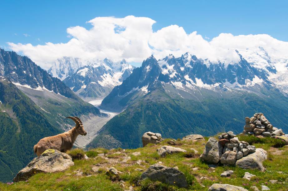 <strong>3. <a href="https://viajeaqui.abril.com.br/cidades/franca-alpes-franceses" rel="TOUR DU MONT BLANC" target="_blank">TOUR DU MONT BLANC</a></strong> "Teto da Europa Ocidental", o Mont Blanc (4 810 metros, ao fundo da foto) é o cenário de um trekking famoso, em volta da base da montanha. O percurso, que exige experiência em longas caminhadas, passa pelas fronteiras da <a href="https://viajeaqui.abril.com.br/paises/franca" rel="França" target="_blank">França</a>, <a href="https://viajeaqui.abril.com.br/paises/italia" rel="Itália" target="_blank">Itália</a> e <a href="https://viajeaqui.abril.com.br/paises/suica" rel="Suíça" target="_blank">Suíça</a>. Após três noites na francesinha <a href="https://viajeaqui.abril.com.br/materias/esqui-e-vida-selvagem-na-francesa-chamonix" rel="Chamonix" target="_blank">Chamonix</a>, as cinco noites da pernada programam paradas em Vale du Chapieux, Chécrouit, Courmayeur, La Fouly e Trelechamps, com hospedagem em quartos coletivos de refúgios monteses. Ao final da viagem, há mais duas noites em <a href="https://viajeaqui.abril.com.br/materias/esqui-e-vida-selvagem-na-francesa-chamonix" rel="Chamonix" target="_blank">Chamonix</a>. Inclui quatro jantares. <strong>Quando:</strong> até setembro <strong>Quem leva:</strong> <a href="https://www.adventureclub.com.br/" rel="Adventure" target="_blank">Adventure</a> <strong>Quanto:</strong> € 3 190 <strong>3. <a href="https://viajeaqui.abril.com.br/cidades/franca-alpes-franceses" rel="TOUR DU MONT BLANC" target="_blank">TOUR DU MONT BLANC</a></strong> "Teto da Europa Ocidental", o Mont Blanc (4 810 metros, ao fundo da foto) é o cenário de um trekking famoso, em volta da base da montanha. O percurso, que exige experiência em longas caminhadas, passa pelas fronteiras da <a href="https://viajeaqui.abril.com.br/paises/franca" rel="França" target="_blank">França</a>, <a href="https://viajeaqui.abril.com.br/paises/italia" rel="Itália" target="_blank">Itália</a> e <a href="https://viajeaqui.abril.com.br/paises/suica" rel="Suíça" target="_blank">Suíça</a>. Após três noites na francesinha <a href="https://viajeaqui.abril.com.br/materias/esqui-e-vida-selvagem-na-francesa-chamonix" rel="Chamonix" target="_blank">Chamonix</a>, as cinco noites da pernada programam paradas em Vale du Chapieux, Chécrouit, Courmayeur, La Fouly e Trelechamps, com hospedagem em quartos coletivos de refúgios monteses. Ao final da viagem, há mais duas noites em <a href="https://viajeaqui.abril.com.br/materias/esqui-e-vida-selvagem-na-francesa-chamonix" rel="Chamonix" target="_blank">Chamonix</a>. Inclui quatro jantares. <strong>Quando:</strong> até setembro <strong>Quem leva:</strong> <a href="https://www.adventureclub.com.br/" rel="Adventure" target="_blank">Adventure</a> <strong>Quanto:</strong> € 3 190