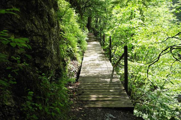 <strong>Bike Park Leogang, <a href="https://viajeaqui.abril.com.br/paises/austria" target="_blank" rel="noopener">Áustria</a></strong> Para quem não está disposto a encarar os riscos de pedalar por desfiladeiros, o país tem o Bike Park Leogang, em Salzburg, a cerca de 170 quilômetros de Mitterbach. A atração permite a ciclistas com diferentes níveis de habilidade pratiquem mountain bike em rampas e obstáculos. A trilha mais popular é a Speedster, com 2,3 quilômetros de extensão em declive. A primavera, entre abril e junho, é a melhor estação para visitar o país. <strong>Bike Park Leogang, <a href="https://viajeaqui.abril.com.br/paises/austria" target="_blank" rel="noopener">Áustria</a></strong> Para quem não está disposto a encarar os riscos de pedalar por desfiladeiros, o país tem o Bike Park Leogang, em Salzburg, a cerca de 170 quilômetros de Mitterbach. A atração permite a ciclistas com diferentes níveis de habilidade pratiquem mountain bike em rampas e obstáculos. A trilha mais popular é a Speedster, com 2,3 quilômetros de extensão em declive. A primavera, entre abril e junho, é a melhor estação para visitar o país.