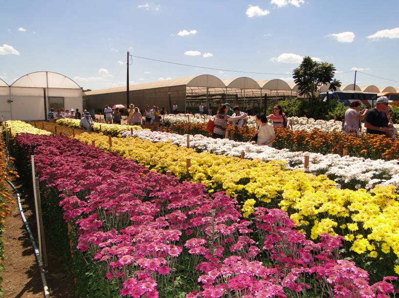 O evento é considerado o maior da América Latina voltado para o setor da floricultura O evento é considerado o maior da América Latina voltado para o setor da floricultura