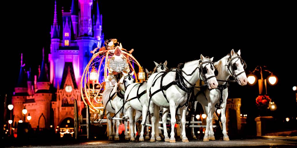 Casamento Disney magic kingdom wedding night