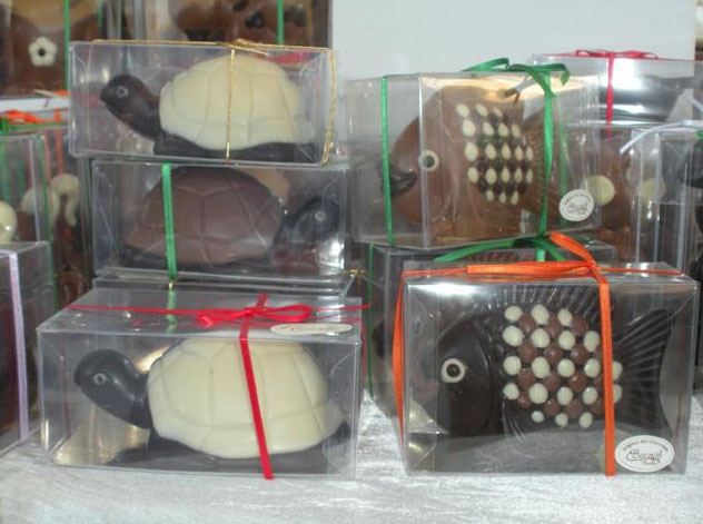 Tartarugas têm vida muito longa, mas estas aqui provavelmente fugirão à regra! Elas são irresistíveis! Tartarugas têm vida muito longa, mas estas aqui provavelmente fugirão à regra! Elas são irresistíveis!