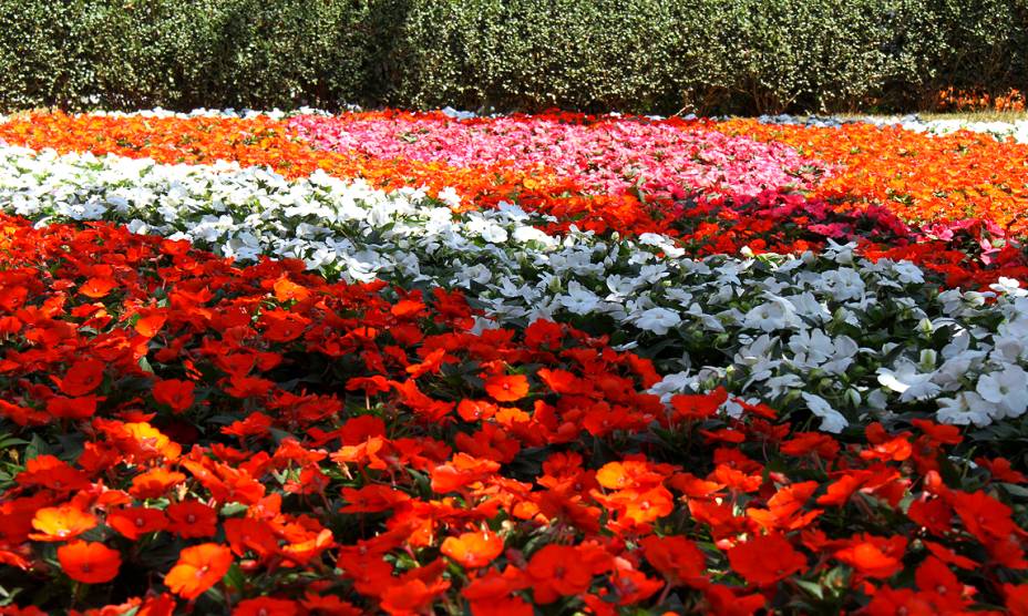 <a href="https://viajeaqui.abril.com.br/cidades/br-sp-holambra" rel="6. Holambra (SP)" target="_self"><strong>6. Holambra (SP)</strong></a> A <a href="https://viajeaqui.abril.com.br/estabelecimentos/br-sp-holambra-atracao-expoflora" rel="Expoflora" target="_self">Expoflora</a>, maior evento de exposição de flores da América Latina, é um dos grandes atrativos para os viajantes e ocorre sempre no mês de setembro <a href="https://viajeaqui.abril.com.br/cidades/br-sp-holambra" rel="6. Holambra (SP)" target="_self"><strong>6. Holambra (SP)</strong></a> A <a href="https://viajeaqui.abril.com.br/estabelecimentos/br-sp-holambra-atracao-expoflora" rel="Expoflora" target="_self">Expoflora</a>, maior evento de exposição de flores da América Latina, é um dos grandes atrativos para os viajantes e ocorre sempre no mês de setembro