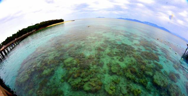 Corais em Green Island, <a href="https://viajeaqui.abril.com.br/cidades/australia-cairns" rel="Cairns" target="_blank">Cairns</a>, <a href="https://viajeaqui.abril.com.br/paises/australia" rel="Australia" target="_blank">Australia</a> Corais em Green Island, <a href="https://viajeaqui.abril.com.br/cidades/australia-cairns" rel="Cairns" target="_blank">Cairns</a>, <a href="https://viajeaqui.abril.com.br/paises/australia" rel="Australia" target="_blank">Australia</a>