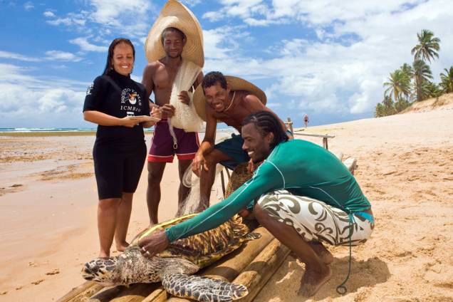 Equipe do <strong>Tamar</strong> e pescadores locais fazendo medições em uma<strong> tartaruga-de-pente</strong> (<em>Eretmochelys imbricata</em>) Equipe do <strong>Tamar</strong> e pescadores locais fazendo medições em uma<strong> tartaruga-de-pente</strong> (<em>Eretmochelys imbricata</em>)