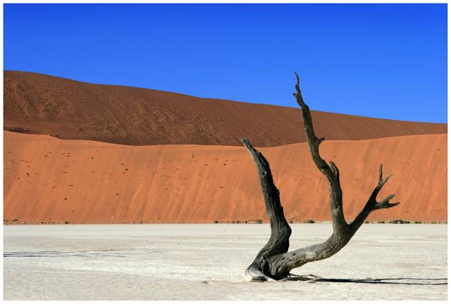 <strong>Dead Vlei, Namíbia</strong> Um dos lugares mais inóspitos do planeta, o Dead Vlei possui algumas das maiores dunas de areia do mundo. <a href="https://www.booking.com/searchresults.pt-br.html?aid=332455&lang=pt-br&sid=eedbe6de09e709d664615ac6f1b39a5d&sb=1&src=searchresults&src_elem=sb&error_url=https%3A%2F%2Fwww.booking.com%2Fsearchresults.pt-br.html%3Faid%3D332455%3Bsid%3Deedbe6de09e709d664615ac6f1b39a5d%3Bclass_interval%3D1%3Bdest_id%3D-2601889%3Bdest_type%3Dcity%3Bdtdisc%3D0%3Bfrom_sf%3D1%3Bgroup_adults%3D2%3Bgroup_children%3D0%3Binac%3D0%3Bindex_postcard%3D0%3Blabel_click%3Dundef%3Bno_rooms%3D1%3Boffset%3D0%3Bpostcard%3D0%3Braw_dest_type%3Dcity%3Broom1%3DA%252CA%3Bsb_price_type%3Dtotal%3Bsearch_selected%3D1%3Bsrc%3Dindex%3Bsrc_elem%3Dsb%3Bss%3DLondres%252C%2520%25E2%2580%258BGrande%2520Londres%252C%2520%25E2%2580%258BReino%2520Unido%3Bss_all%3D0%3Bss_raw%3DInglaterra%3Bssb%3Dempty%3Bsshis%3D0%26%3B&ss=Nam%C3%ADbia&ssne=Londres&ssne_untouched=Londres&city=-2601889&checkin_monthday=&checkin_month=&checkin_year=&checkout_monthday=&checkout_month=&checkout_year=&no_rooms=1&group_adults=2&group_children=0&highlighted_hotels=&from_sf=1&ss_raw=+Nam%C3%ADbia+&ac_position=0&ac_langcode=xb&dest_id=146&dest_type=country&search_pageview_id=440677a24f7b00dd&search_selected=true&search_pageview_id=440677a24f7b00dd&ac_suggestion_list_length=5&ac_suggestion_theme_list_length=0" target="_blank" rel="noopener"><em>Busque hospedagens na Namíbia no Booking.com</em></a> <strong>Dead Vlei, Namíbia</strong> Um dos lugares mais inóspitos do planeta, o Dead Vlei possui algumas das maiores dunas de areia do mundo. <a href="https://www.booking.com/searchresults.pt-br.html?aid=332455&lang=pt-br&sid=eedbe6de09e709d664615ac6f1b39a5d&sb=1&src=searchresults&src_elem=sb&error_url=https%3A%2F%2Fwww.booking.com%2Fsearchresults.pt-br.html%3Faid%3D332455%3Bsid%3Deedbe6de09e709d664615ac6f1b39a5d%3Bclass_interval%3D1%3Bdest_id%3D-2601889%3Bdest_type%3Dcity%3Bdtdisc%3D0%3Bfrom_sf%3D1%3Bgroup_adults%3D2%3Bgroup_children%3D0%3Binac%3D0%3Bindex_postcard%3D0%3Blabel_click%3Dundef%3Bno_rooms%3D1%3Boffset%3D0%3Bpostcard%3D0%3Braw_dest_type%3Dcity%3Broom1%3DA%252CA%3Bsb_price_type%3Dtotal%3Bsearch_selected%3D1%3Bsrc%3Dindex%3Bsrc_elem%3Dsb%3Bss%3DLondres%252C%2520%25E2%2580%258BGrande%2520Londres%252C%2520%25E2%2580%258BReino%2520Unido%3Bss_all%3D0%3Bss_raw%3DInglaterra%3Bssb%3Dempty%3Bsshis%3D0%26%3B&ss=Nam%C3%ADbia&ssne=Londres&ssne_untouched=Londres&city=-2601889&checkin_monthday=&checkin_month=&checkin_year=&checkout_monthday=&checkout_month=&checkout_year=&no_rooms=1&group_adults=2&group_children=0&highlighted_hotels=&from_sf=1&ss_raw=+Nam%C3%ADbia+&ac_position=0&ac_langcode=xb&dest_id=146&dest_type=country&search_pageview_id=440677a24f7b00dd&search_selected=true&search_pageview_id=440677a24f7b00dd&ac_suggestion_list_length=5&ac_suggestion_theme_list_length=0" target="_blank" rel="noopener"><em>Busque hospedagens na Namíbia no Booking.com</em></a>