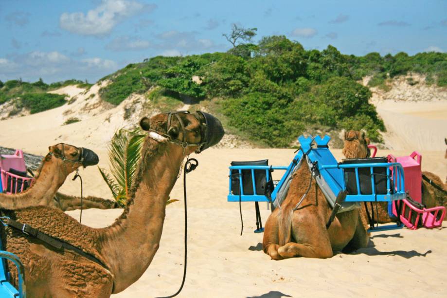 Parece as areias do deserto do Saara, mas, na verdade, são dromedários na Praia de <a href="https://viajeaqui.abril.com.br/cidades/br-rn-genipabu" target="_blank">Genipabu</a>, no município de Extremoz. Além de você se sentir como um peregrino no <a href="https://viajeaqui.abril.com.br/continentes/oriente-medio" target="_blank">Oriente Médio</a>, também dá para trocar o esqui nas montanhas geladas da Cordilheira dos Andes, pelo skibunda nas dunas da cidade. E para que <a href="https://viajeaqui.abril.com.br/estabelecimentos/br-sp-braganca-paulista-atracao-tirolesa" target="_blank">tirolesa</a> em Pedra Bela (a maior das Américas), em <a href="https://viajeaqui.abril.com.br/cidades/br-sp-braganca-paulista" target="_blank">Bragança Paulista</a>, quando você pode praticar aerobunda?