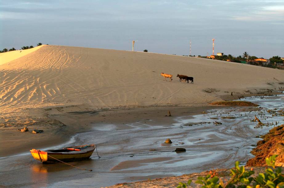 <strong>5. <a href="https://viajeaqui.abril.com.br/cidades/br-ce-trairi" rel="Trairi (CE) " target="_blank">Trairi (CE)</a></strong> <a href="https://viajeaqui.abril.com.br/cidades/br-ce-trairi" rel="Trairi" target="_self">Trairi</a> tem praias desertas, águas calmas, piscinas naturais e muitas dunas ao longo do litoral. Uma das mais famosas e frequentadas é a Praia Flecheiras, que possui dunas brancas, coqueirais e beleza selvagem, além de bares e restaurantes. Isto chama a atenção de bugueiros, kitesurfistas e praticantes de sandboard. As praias de Mundaú (foto) e Embuaca também atraem turistas, especialmente quem procura ver o belo pôr do sol no alto dos montes de areia. <strong>5. <a href="https://viajeaqui.abril.com.br/cidades/br-ce-trairi" rel="Trairi (CE) " target="_blank">Trairi (CE)</a></strong> <a href="https://viajeaqui.abril.com.br/cidades/br-ce-trairi" rel="Trairi" target="_self">Trairi</a> tem praias desertas, águas calmas, piscinas naturais e muitas dunas ao longo do litoral. Uma das mais famosas e frequentadas é a Praia Flecheiras, que possui dunas brancas, coqueirais e beleza selvagem, além de bares e restaurantes. Isto chama a atenção de bugueiros, kitesurfistas e praticantes de sandboard. As praias de Mundaú (foto) e Embuaca também atraem turistas, especialmente quem procura ver o belo pôr do sol no alto dos montes de areia.