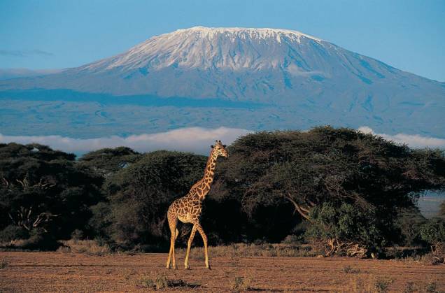 Com 5.895 metros de altura, o Kilimanjaro, na Tanzânia, é a montanha mais alta da África - na verdade, é um vulcão adormecido, com o topo coberto de neve. No seu entorno vivem raras espécies de plantas Com 5.895 metros de altura, o Kilimanjaro, na Tanzânia, é a montanha mais alta da África - na verdade, é um vulcão adormecido, com o topo coberto de neve. No seu entorno vivem raras espécies de plantas