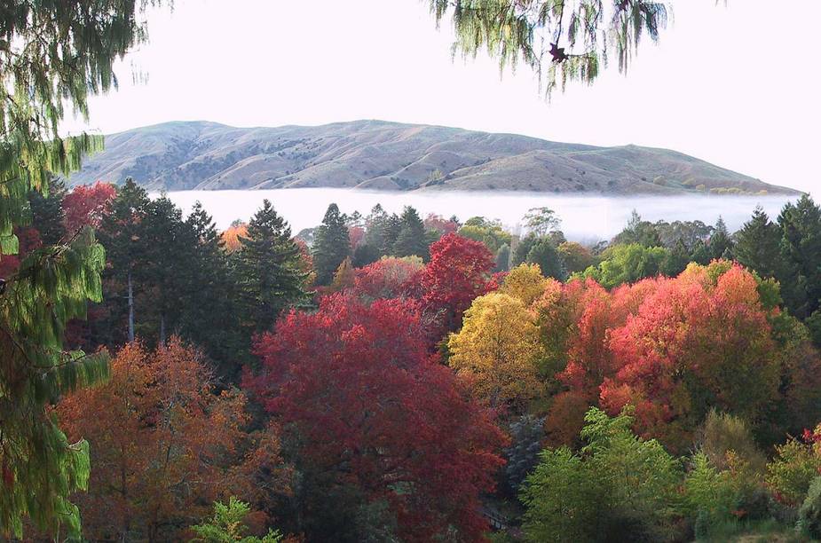 Vista do parque Eastwoodhill Arboretum, onde é possível fazer trilhas a pé Vista do parque Eastwoodhill Arboretum, onde é possível fazer trilhas a pé