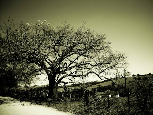 Tocos do Moji, <a href="https://viajeaqui.abril.com.br/estados/br-minas-gerais" rel="Minas Gerais" target="_self">Minas Gerais, </a>um lugar simples com muita paz e beleza Tocos do Moji, <a href="https://viajeaqui.abril.com.br/estados/br-minas-gerais" rel="Minas Gerais" target="_self">Minas Gerais, </a>um lugar simples com muita paz e beleza