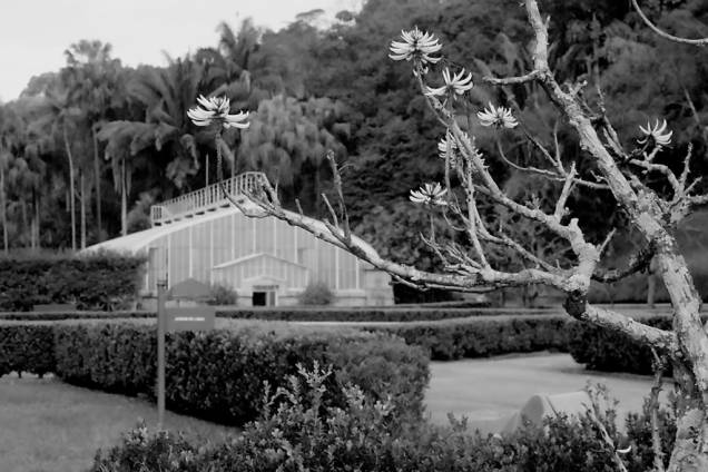 <a href="https://viajeaqui.abril.com.br/estabelecimentos/br-sp-sao-paulo-atracao-jardim-botanico" rel="Jardim Botânico" target="_blank">Jardim Botânico</a> de <a href="https://viajeaqui.abril.com.br/cidades/br-sp-sao-paulo" rel="São Paulo" target="_blank">São Paulo</a> <a href="https://viajeaqui.abril.com.br/estabelecimentos/br-sp-sao-paulo-atracao-jardim-botanico" rel="Jardim Botânico" target="_blank">Jardim Botânico</a> de <a href="https://viajeaqui.abril.com.br/cidades/br-sp-sao-paulo" rel="São Paulo" target="_blank">São Paulo</a>