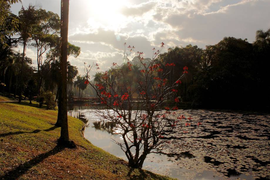 Fim de tarde no <a href="https://viajeaqui.abril.com.br/estabelecimentos/br-sp-sao-paulo-atracao-jardim-botanico" rel="Jardim Botânico" target="_self">Jardim Botânico</a> de <a href="https://viajeaqui.abril.com.br/cidades/br-sp-sao-paulo" rel="São Paulo" target="_self">São Paulo</a> (<a href="https://viajeaqui.abril.com.br/estados/br-sao-paulo" rel="SP" target="_self">SP</a>)