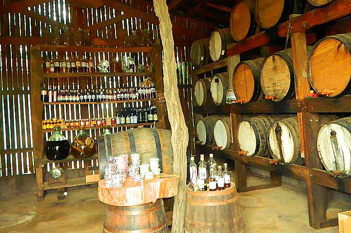 Quando a cana est&aacute; madura os visitantes podem provar a cacha&ccedil;a feita no <a href="https://viajeaqui.abril.com.br/estabelecimentos/br-sp-holambra-atracao-rancho-da-cachaca" target="_blank">Rancho da Cacha&ccedil;a</a> e ver o processo de fabrica&ccedil;&atilde;o da bebida. Compras est&atilde;o liberadas.