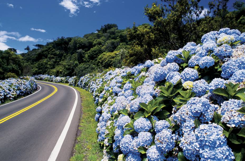 As paisagens das estradas que conduzem até a cidade de <a href="https://viajeaqui.abril.com.br/cidades/br-rs-gramado" rel="Gramado" target="_self">Gramado</a> (RS) são super charmosas. A impressão que fica é a de estar na Europa