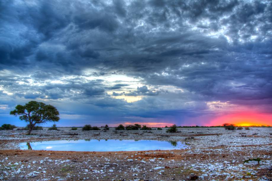 <strong><a href="https://www.etoshanationalpark.org/" target="_blank" rel="noopener">Parque Nacional Etosha</a>, Namíbia</strong> O parque funciona como um safári, cujo principal objetivo é a preservação da vida dos animais selvagens da região. Por aqui, é possível encontrar espécies de mamíferos como elefantes, zebras, rinocerontes e até mesmo leões <em><a href="https://www.booking.com/searchresults.pt-br.html?aid=332455&sid=b6bf542626b1a2c7a9951e44506f270a&sb=1&src=searchresults&src_elem=sb&error_url=https%3A%2F%2Fwww.booking.com%2Fsearchresults.pt-br.html%3Faid%3D332455%3Bsid%3Db6bf542626b1a2c7a9951e44506f270a%3Btmpl%3Dsearchresults%3Bac_click_type%3Dg%3Bclass_interval%3D1%3Bdtdisc%3D0%3Bfrom_sf%3D1%3Bgroup_adults%3D2%3Bgroup_children%3D0%3Binac%3D0%3Bindex_postcard%3D0%3Blabel_click%3Dundef%3Bno_rooms%3D1%3Boffset%3D0%3Bplace_id%3DChIJr3kkwy1BkEYRnX9qzybnZXA%3Bplace_id_lat%3D61.1879953%3Bplace_id_lon%3D26.9023637%3Bpostcard%3D0%3Braw_dest_type%3Dlandmark%3Broom1%3DA%252CA%3Bsb_price_type%3Dtotal%3Bsearch_selected%3D1%3Bshw_aparth%3D1%3Bslp_r_match%3D0%3Bsrc%3Dsearchresults%3Bsrc_elem%3Dsb%3Bsrpvid%3D1f4d81c20e6d0187%3Bss%3DRepovesi%2520National%2520Park%252C%2520Kouvola%252C%2520Finland%3Bss_all%3D0%3Bss_raw%3DRepovesi%2520National%2520Park%3Bssb%3Dempty%3Bsshis%3D0%3Bssne%3DGauja%2520National%2520Park%3Bssne_untouched%3DGauja%2520National%2520Park%3Btop_ufis%3D1%26%3B&ss=Etosha+National+Park%2C+Nam%C3%ADbia&is_ski_area=&ssne=Repovesi+National+Park%2C+Kouvola%2C+Finland&ssne_untouched=Repovesi+National+Park%2C+Kouvola%2C+Finland&checkin_monthday=&checkin_month=&checkin_year=&checkout_monthday=&checkout_month=&checkout_year=&group_adults=2&group_children=0&no_rooms=1&from_sf=1&ss_raw=Etosha+national+park&ac_position=0&ac_langcode=xb&ac_click_type=b&dest_id=14665&dest_type=region&search_pageview_id=1f4d81c20e6d0187&search_selected=true&region_type=free_region&search_pageview_id=1f4d81c20e6d0187&ac_suggestion_list_length=5&ac_suggestion_theme_list_length=0" target="_blank" rel="noopener">Veja preços de hotéis próximos a Etosha no Booking.com</a></em>