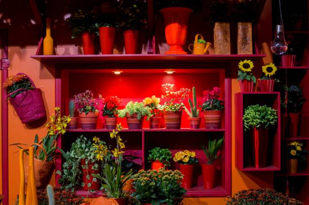 O evento também reúne exposições e mostras de arranjos florais, apresentados de forma delicada O evento também reúne exposições e mostras de arranjos florais, apresentados de forma delicada