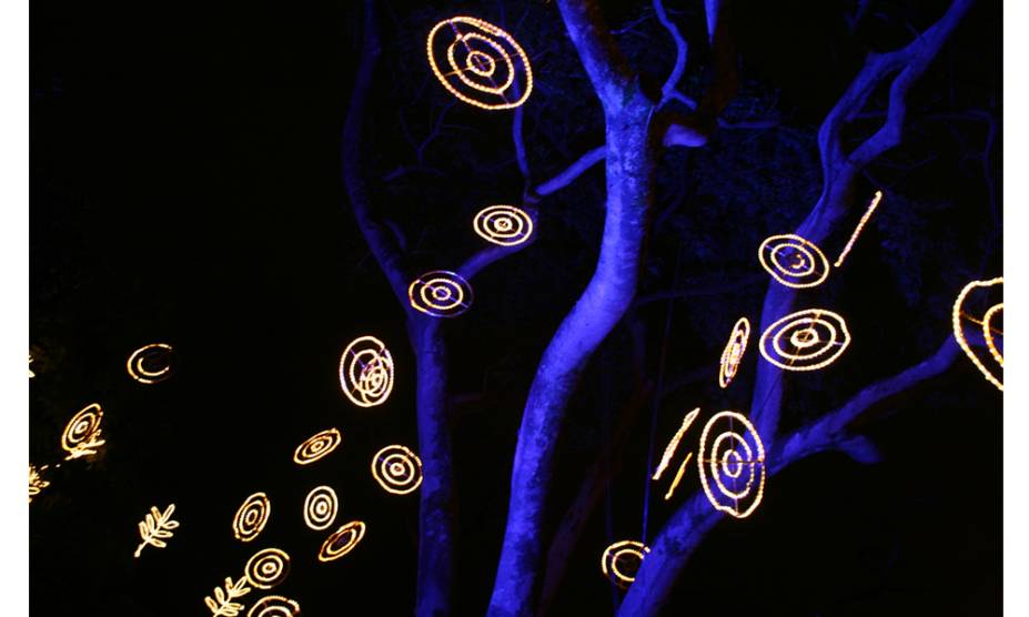 Iluminação de Natal no Jardim Botânico de Medellin, na Colômbia, durante o Natal de 2009