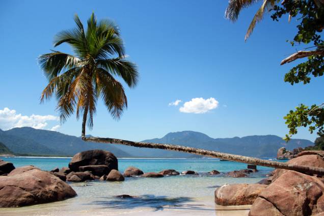 O coqueiro torto, um dos maiores atrativos da <a href="https://viajeaqui.abril.com.br/estabelecimentos/br-rj-ilha-grande-atracao-praia-do-aventureiro" rel="Praia do Aventureiro" target="_self">Praia do Aventureiro</a>, <a href="https://viajeaqui.abril.com.br/cidades/br-rj-ilha-grande" rel="Ilha Grande" target="_self">Ilha Grande</a>, <a href="https://viajeaqui.abril.com.br/estados/br-rio-de-janeiro" rel="Rio de Janeiro" target="_self">Rio de Janeiro</a> O coqueiro torto, um dos maiores atrativos da <a href="https://viajeaqui.abril.com.br/estabelecimentos/br-rj-ilha-grande-atracao-praia-do-aventureiro" rel="Praia do Aventureiro" target="_self">Praia do Aventureiro</a>, <a href="https://viajeaqui.abril.com.br/cidades/br-rj-ilha-grande" rel="Ilha Grande" target="_self">Ilha Grande</a>, <a href="https://viajeaqui.abril.com.br/estados/br-rio-de-janeiro" rel="Rio de Janeiro" target="_self">Rio de Janeiro</a>