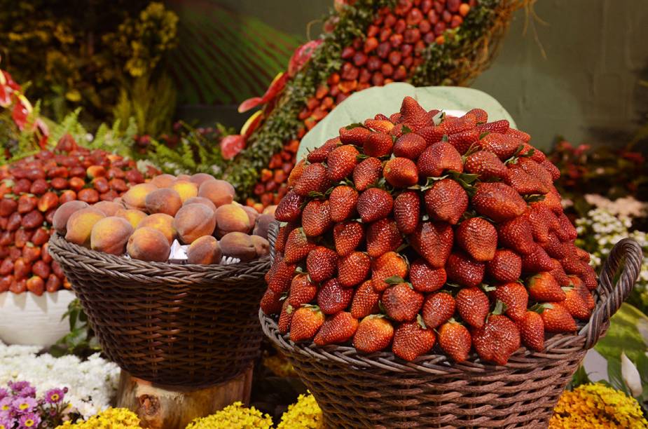 Em 2014 a Festa das Flores e Morangos celebra a 34ª edição