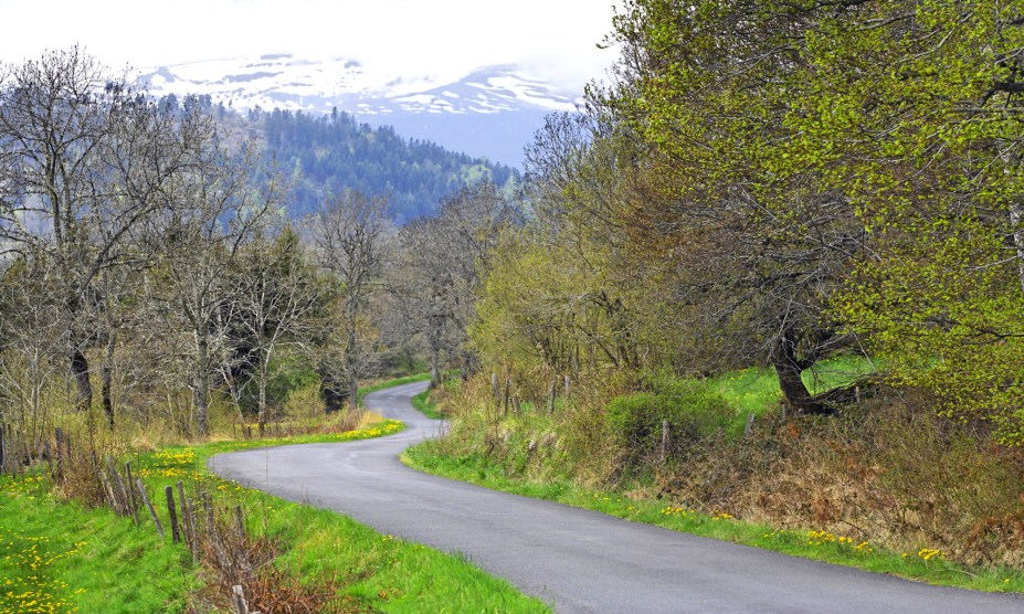 <strong>30. Floresta de Auvergne, <a href="https://viajeaqui.abril.com.br/paises/franca" rel="França" target="_self">França</a></strong>            A Auvérnia é uma das mais importantes regiões administrativas da França – e um dos grandes pontos de encontro entre o ser humano e a natureza no país. Repleta de lagos e bosques, possui rotas históricas que passam por belas igrejas e castelos. Sua floresta abriga muitas árvores retorcidas e outras espécies mortas, que tornam os cenários propensos à criação de mitos e lendas. Uma delas narra que um lobo dourado habitava a região e assombrava as ovelhas, mas acabou sendo enfrentado por uma jovem mulher e aprisionado em um dos bosques. A história original, por outro lado, conta que a região já foi muito disputada por condes e palco de muitas revoltas. Hoje em dia, seu cenário tranquilo e cercado por montanhas despertam o melhor da imaginação do visitante.