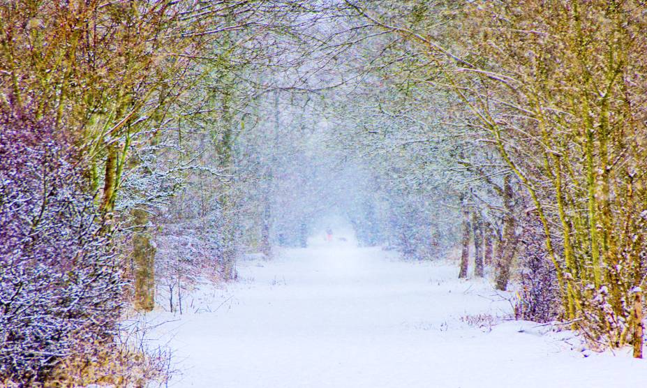 <strong>3. Floresta de Epping, entre <a href="https://viajeaqui.abril.com.br/cidades/reino-unido-londres" rel="Londres" target="_self">Londres</a> e <a href="https://viajeaqui.abril.com.br/cidades/reino-unido-essex" rel="Essex" target="_self">Essex</a>, <a href="https://viajeaqui.abril.com.br/paises/reino-unido" rel="Reino Unido" target="_self">Reino Unido</a></strong> Localizada ao leste de Londres, essa floresta de mais de dois mil hectares concentra histórias macabras fictícias e verdadeiras: ela serviu de esconderijo para o saqueador Dick Turpin e para o assassino de policiais Harry Roberts. O fantasma do primeiro, inclusive, ainda estaria à espreita pra pregar peças nos visitantes. Em um episódio de um programa da TV britânica, um grupo de aventureiros resolveu entrar pela floresta com o intuito de encontrar o espírito de Turpin. Resultado: a equipe inteira acabou se perdendo durante as gravações. Seria esse um sinal? <strong>3. Floresta de Epping, entre <a href="https://viajeaqui.abril.com.br/cidades/reino-unido-londres" rel="Londres" target="_self">Londres</a> e <a href="https://viajeaqui.abril.com.br/cidades/reino-unido-essex" rel="Essex" target="_self">Essex</a>, <a href="https://viajeaqui.abril.com.br/paises/reino-unido" rel="Reino Unido" target="_self">Reino Unido</a></strong> Localizada ao leste de Londres, essa floresta de mais de dois mil hectares concentra histórias macabras fictícias e verdadeiras: ela serviu de esconderijo para o saqueador Dick Turpin e para o assassino de policiais Harry Roberts. O fantasma do primeiro, inclusive, ainda estaria à espreita pra pregar peças nos visitantes. Em um episódio de um programa da TV britânica, um grupo de aventureiros resolveu entrar pela floresta com o intuito de encontrar o espírito de Turpin. Resultado: a equipe inteira acabou se perdendo durante as gravações. Seria esse um sinal?