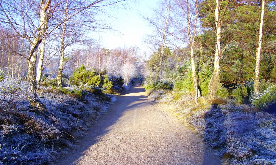 <strong>35. Floresta de Rothiemurchus, <a href="https://viajeaqui.abril.com.br/paises/escocia" rel="Escócia" target="_self">Escócia</a></strong> Atravessar essa região é ter muita neblina pela frente, além de um frio de congelar a espinha. O maior desafio aqui, no entanto, consiste em enfrentar o gigantesco fantasma de dois metros do chefe do Clã Shaw de Tordarroch, típico do país. Ao avistar um intruso, este homem mal humorado o desafia para uma batalha. Quem demonstra medo, é capturado e nunca mais retorna. Caso contrário, nada acontece. Se é verdade ou não, pelo menos o recado foi dado – inclusive para diversos moradores que organizam festas no local. <strong>35. Floresta de Rothiemurchus, <a href="https://viajeaqui.abril.com.br/paises/escocia" rel="Escócia" target="_self">Escócia</a></strong> Atravessar essa região é ter muita neblina pela frente, além de um frio de congelar a espinha. O maior desafio aqui, no entanto, consiste em enfrentar o gigantesco fantasma de dois metros do chefe do Clã Shaw de Tordarroch, típico do país. Ao avistar um intruso, este homem mal humorado o desafia para uma batalha. Quem demonstra medo, é capturado e nunca mais retorna. Caso contrário, nada acontece. Se é verdade ou não, pelo menos o recado foi dado – inclusive para diversos moradores que organizam festas no local.