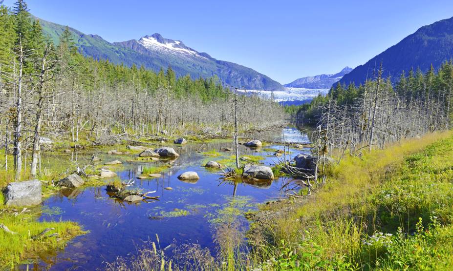 A <strong>Floresta Nacional Tongass</strong> é considerada a maior dos <a href="https://viajeaqui.abril.com.br/paises/estados-unidos" rel="Estados Unidos" target="_self">Estados Unidos</a>, com um a extensão de 70 mil km². A vida selvagem é marcante na reserva, com a presença de ursos, águias e outras espécies entre seus caminhos    <em><a href="https://www.booking.com/city/us/ketchikan.pt-br.html?sid=5b28d827ef00573fdd3b49a282e323ef;dcid=1?aid=332455&label=viagemabril-paisagens-do-alasca" rel="Veja preços de hotéis próximos à Floresta Nacional Tongass no Booking.com" target="_blank">Veja preços de hotéis próximos à Floresta Nacional Tongass no Booking.com</a></em>