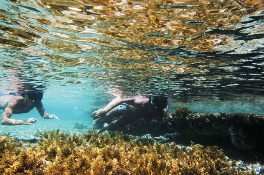 Fernando de Noronha tem com águas transparentes - a visibilidade chega a 50 metros - e a temperatura média de suas águas é de 27ºC. O ápice da visibilidade ocorre entre agosto e novembro