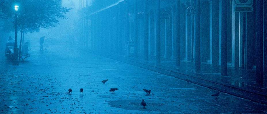 Fog matinal nas franjas do French Quarter Fog matinal nas franjas do French Quarter