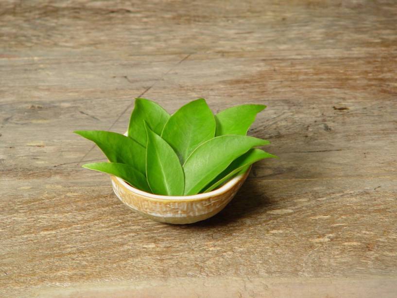 <strong>9. Ora-pro-nóbis</strong>Ingrediente comum na cozinha mineira, as folhas de ora-pro-nóbis podem enriquecer saladas, refogados, sopas, omeletes e tortas, mas seu uso mais frequente é com a galinha caipira. O nome vem do latim e quer dizer “orai por nós”. Diz a lenda que os padres colonizadores utilizavam o arbusto como cerca viva ao redor de igrejas. Durante as orações, enquanto os religiosos estavam ocupados, os moradores da cidade aproveitavam para colher as folhas às escondidas. 