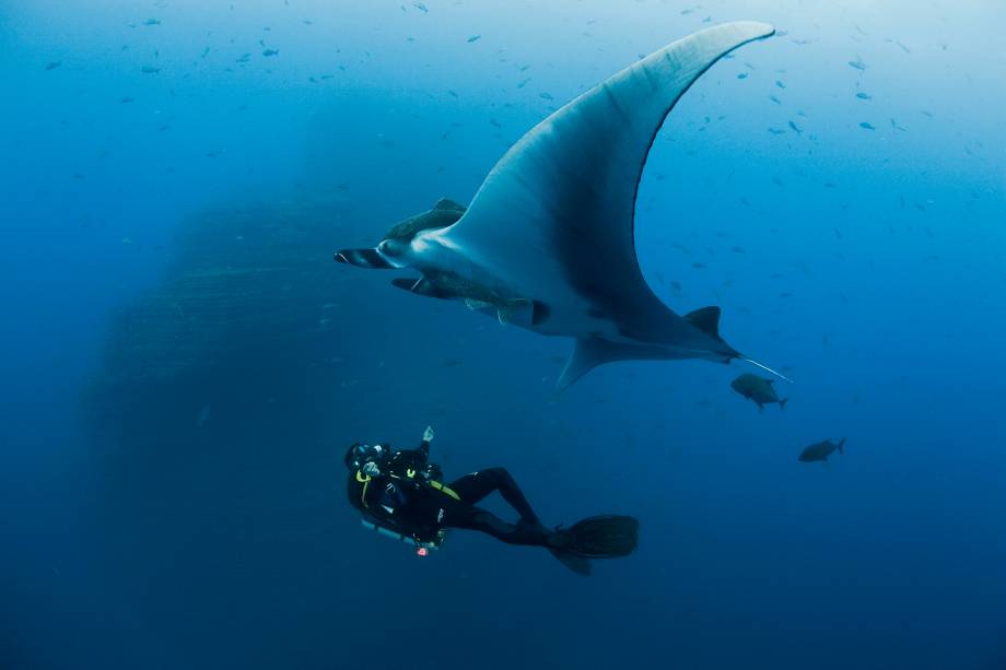 Foto retrata mergulhador e jamanta, na Ilha Socorro (arquipélago de Revillagigedos); imagem faz parte da exposição em cartaz no Centro Cultural Correios até 1º de junho de 2012, no Rio de Janeiro