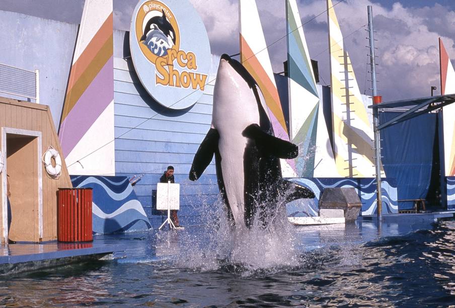 Orca Show, no Playcenter, em São Paulo (1988)