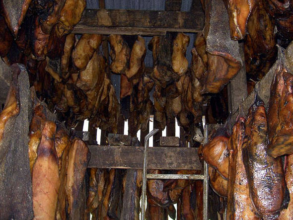 O trabalhoso processo de preparo da carne do tubarão-da-Groenlândia, prato da culinária islandesa, tem sua razão de ser, apesar de parecer nojento. Originalmente, esse animal é venenoso (por concentrar muito ácido úrico) e, para que se torne comestível, ele deve ser enterrado para apodrecer entre seis e 12 semanas, e, depois, pendurado para secar de dois a quatro meses. Ele já está pronto para consumo após ser retirada a crosta de cor marrom-avermelhada que se forma em volta do animal. Geralmente, a carne é cortada em cubos, como tira-gosto, e acompanhada de aguardente. Mesmo sem restar nenhum veneno, o cheiro de amoníaco ainda é intenso, na hora de comer. Por isso, o consumo dessa carne é comum entre as pessoas que têm estômago forte. O trabalhoso processo de preparo da carne do tubarão-da-Groenlândia, prato da culinária islandesa, tem sua razão de ser, apesar de parecer nojento. Originalmente, esse animal é venenoso (por concentrar muito ácido úrico) e, para que se torne comestível, ele deve ser enterrado para apodrecer entre seis e 12 semanas, e, depois, pendurado para secar de dois a quatro meses. Ele já está pronto para consumo após ser retirada a crosta de cor marrom-avermelhada que se forma em volta do animal. Geralmente, a carne é cortada em cubos, como tira-gosto, e acompanhada de aguardente. Mesmo sem restar nenhum veneno, o cheiro de amoníaco ainda é intenso, na hora de comer. Por isso, o consumo dessa carne é comum entre as pessoas que têm estômago forte.