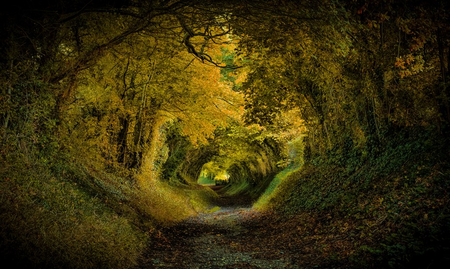 <strong>8. Túnel de Halnaker, West Sussex, <a href="https://viajeaqui.abril.com.br/paises/reino-unido?iframe=true" rel="Reino Unido" target="_self">Reino Unido</a></strong>                        A aldeia inglesa que abriga essa pequena floresta já é um charme só, com paisagens bucólicas e um moinho de vento. No entanto, é nesse túnel que se concentra a fama do lugar, com um cenário tão bonito quanto romântico. Para alguns, a impressão que se dá ao observá-lo é a de que um príncipe vai surgir em um cavalo branco a qualquer momento. Para outros, o lugar seria perfeito para abrigar as aventuras de hobbits como Bilbo Bolseiro, que poderia vir seguido por anões montados em pôneis. Seja qual for a escolha, não dá pra negar que a visão é bem mágica.