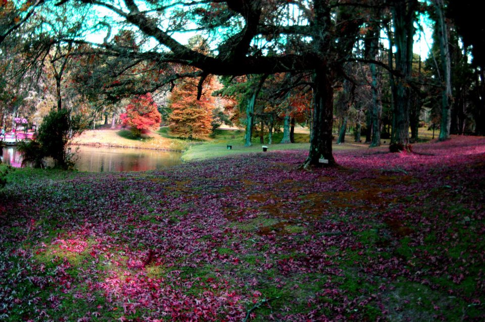Parque Horto Florestal, em Campos do Jordão, São Paulo Parque Horto Florestal, em Campos do Jordão, São Paulo