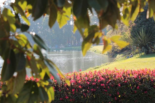 <strong>4. <a href="https://viajeaqui.abril.com.br/estabelecimentos/br-sp-sao-paulo-atracao-parque-do-ibirapuera" rel="Parque do Ibirapuera" target="_blank">Parque do Ibirapuera</a></strong>Na enorme área verde, cravada entre importantes avenidas, todos os dias parecem sábado: pessoas correm, pedalam, andam de skate e de patins, jogam bola, passeiam com o cachorro ou leem um livro deitadas na grama.<a href="https://viajeaqui.abril.com.br/estabelecimentos/br-sp-sao-paulo-atracao-parque-do-ibirapuera/mapa" rel="Veja o mapa" target="_blank">Veja o mapa</a> <strong>4. <a href="https://viajeaqui.abril.com.br/estabelecimentos/br-sp-sao-paulo-atracao-parque-do-ibirapuera" rel="Parque do Ibirapuera" target="_blank">Parque do Ibirapuera</a></strong>Na enorme área verde, cravada entre importantes avenidas, todos os dias parecem sábado: pessoas correm, pedalam, andam de skate e de patins, jogam bola, passeiam com o cachorro ou leem um livro deitadas na grama.<a href="https://viajeaqui.abril.com.br/estabelecimentos/br-sp-sao-paulo-atracao-parque-do-ibirapuera/mapa" rel="Veja o mapa" target="_blank">Veja o mapa</a>