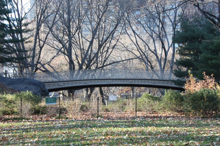 O Central Park, símbolo de <a href="https://viajeaqui.abril.com.br/cidades/estados-unidos-nova-york" rel="Nova York" target="_blank">Nova York</a>, ocupa o equivalente a 50 quadras de extensão, entre a região de Midtown e o Harlem. Símbolo do lazer gratuito nova-iorquino, o parque recebe 25 milhões de visitantes por ano O Central Park, símbolo de <a href="https://viajeaqui.abril.com.br/cidades/estados-unidos-nova-york" rel="Nova York" target="_blank">Nova York</a>, ocupa o equivalente a 50 quadras de extensão, entre a região de Midtown e o Harlem. Símbolo do lazer gratuito nova-iorquino, o parque recebe 25 milhões de visitantes por ano